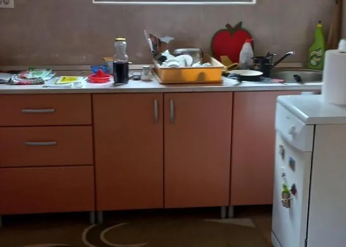 Apartament Smestaj Nikolic Arilje